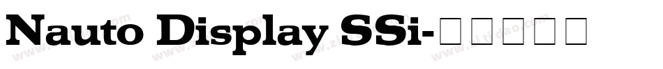 Nauto Display SSi字体转换